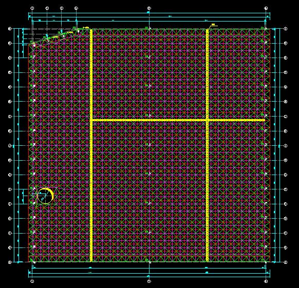遵义东营金岭化工大王煤棚网架